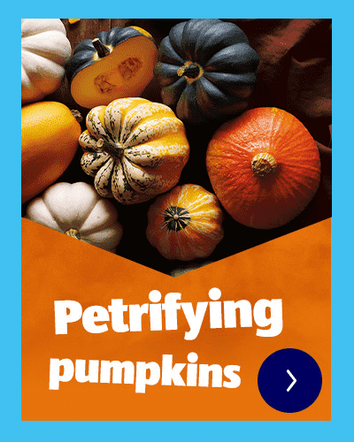 Petrifying pumpkins CTA